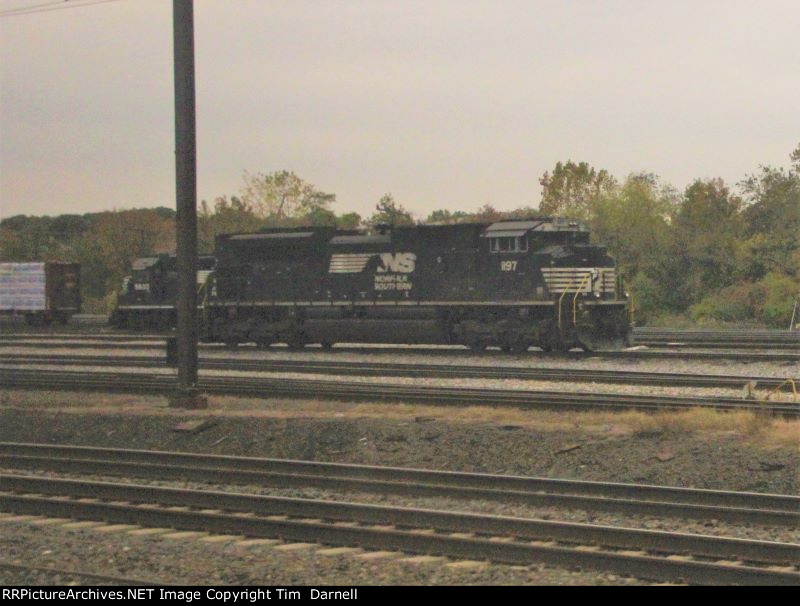 NS 1197